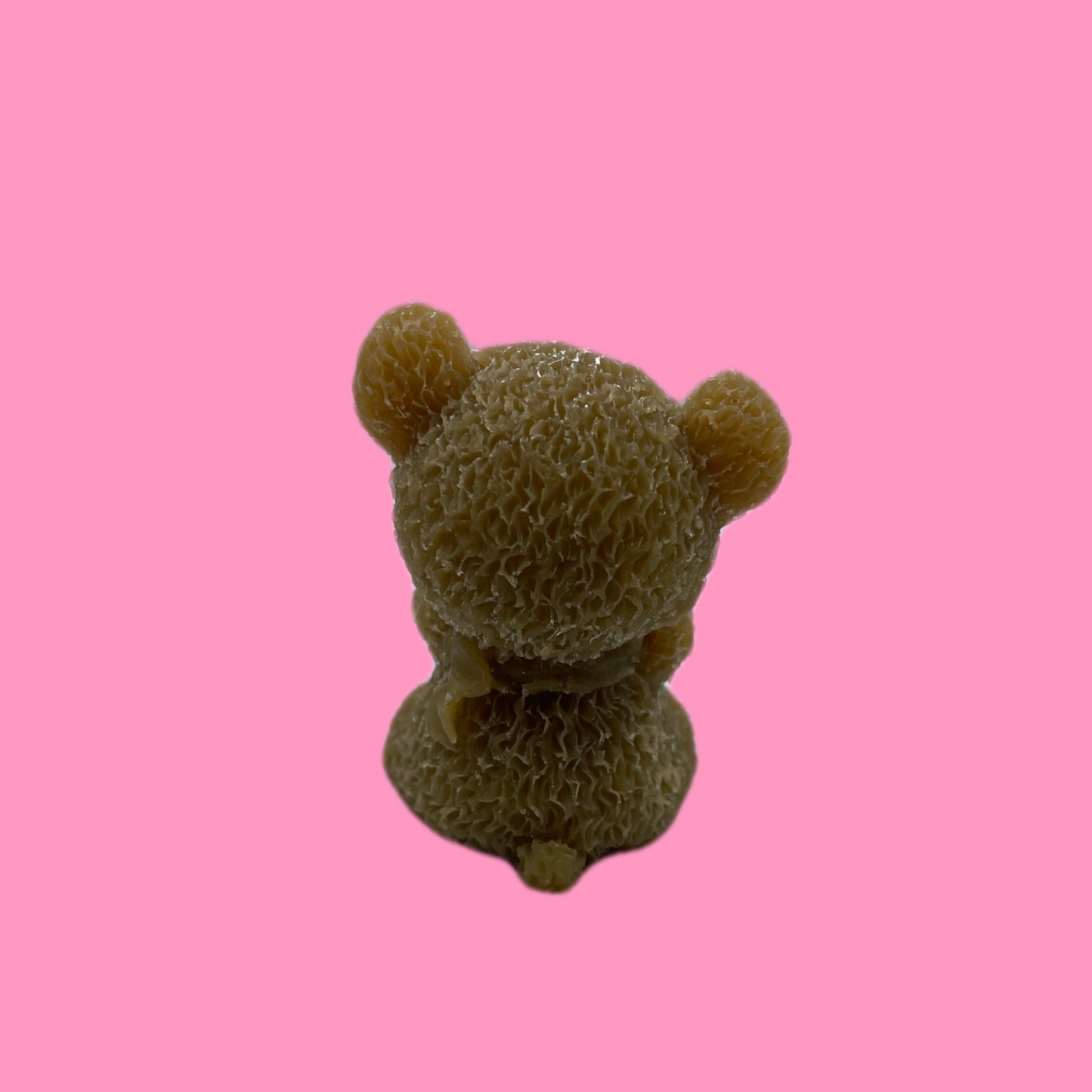 Little bear