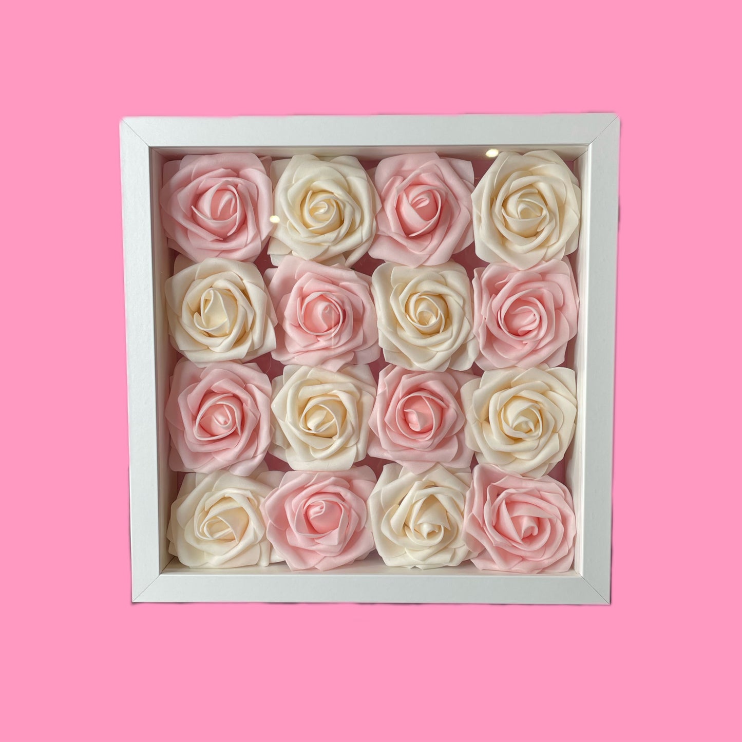 Pink and white roses
