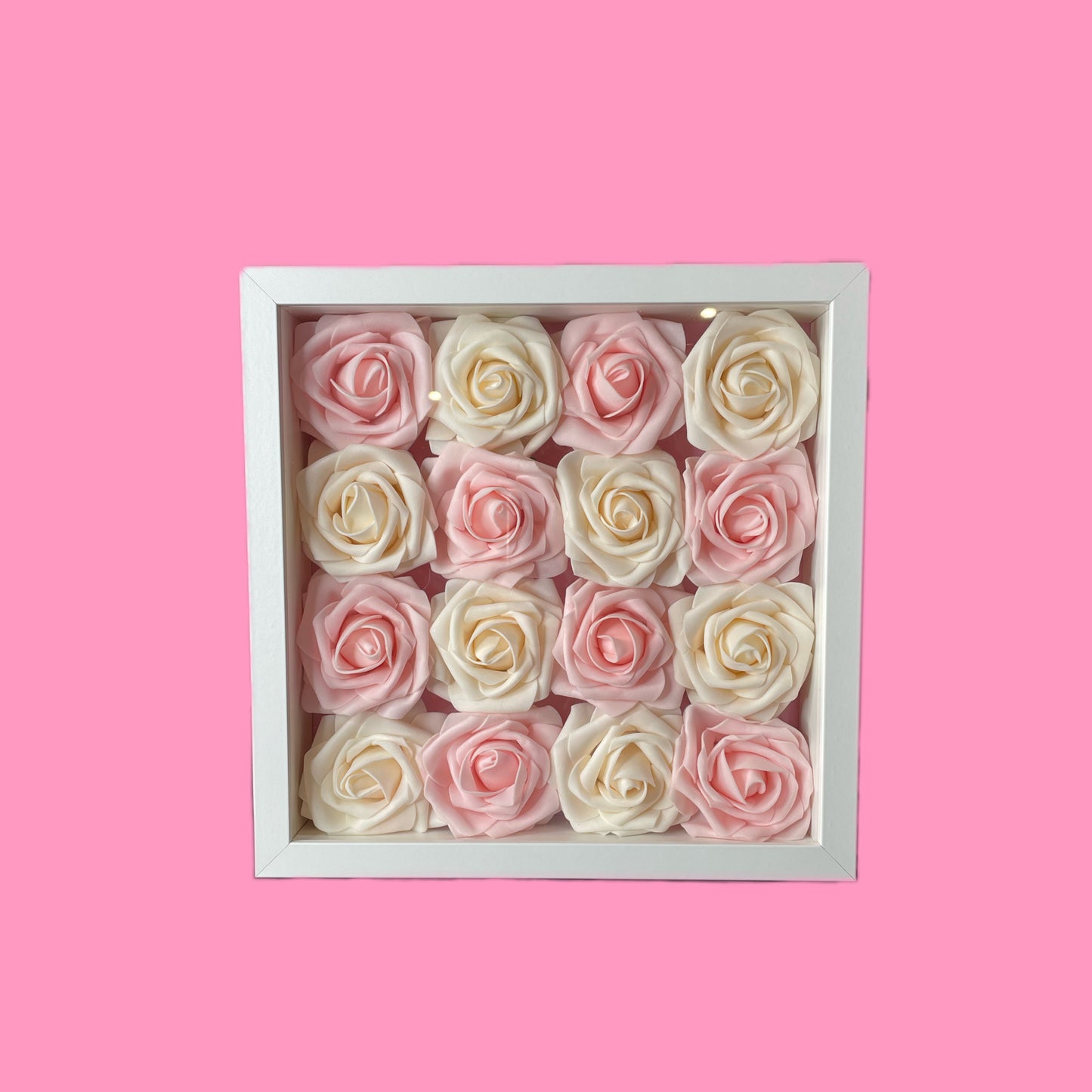 Pink and white roses