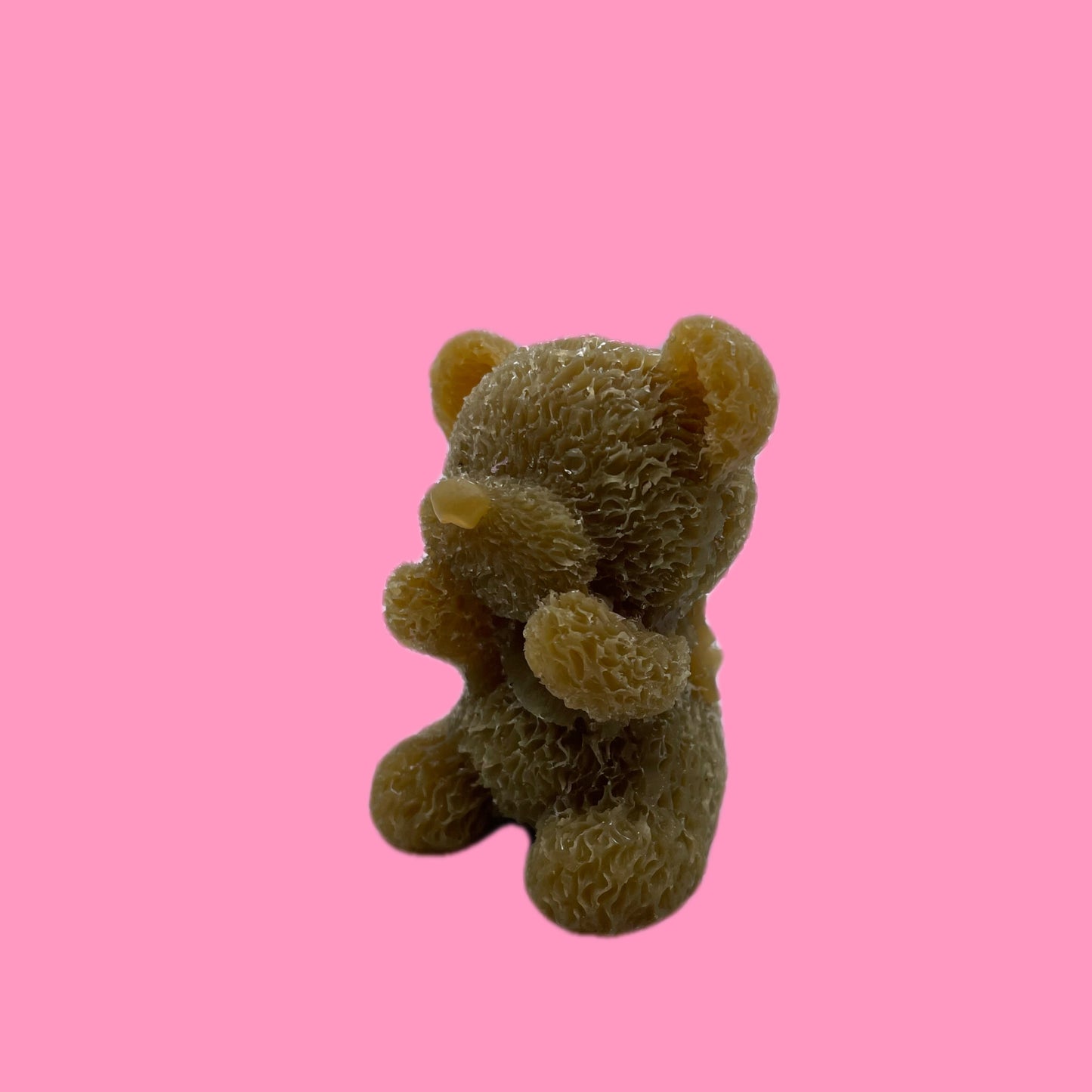 Little bear