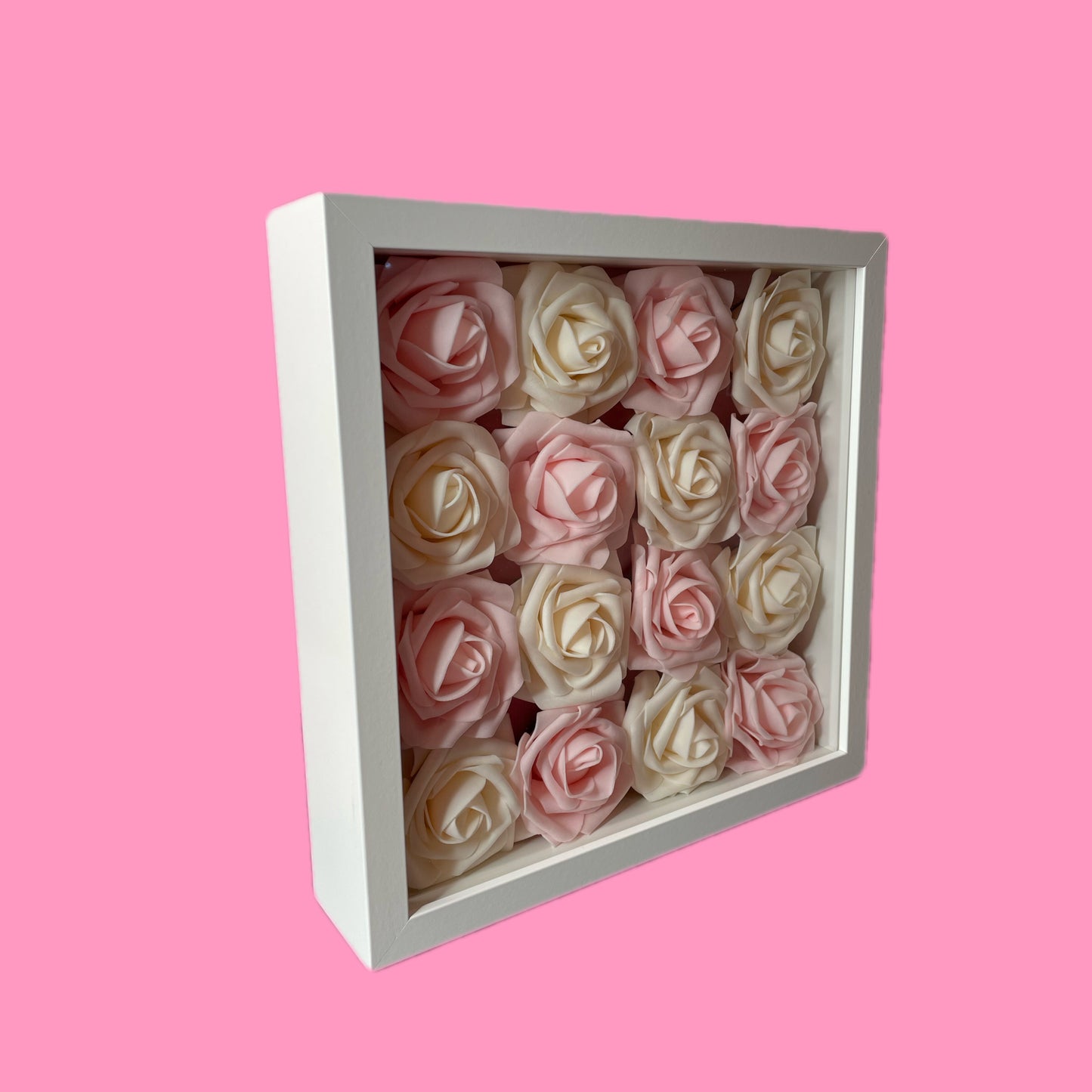 Pink and white roses