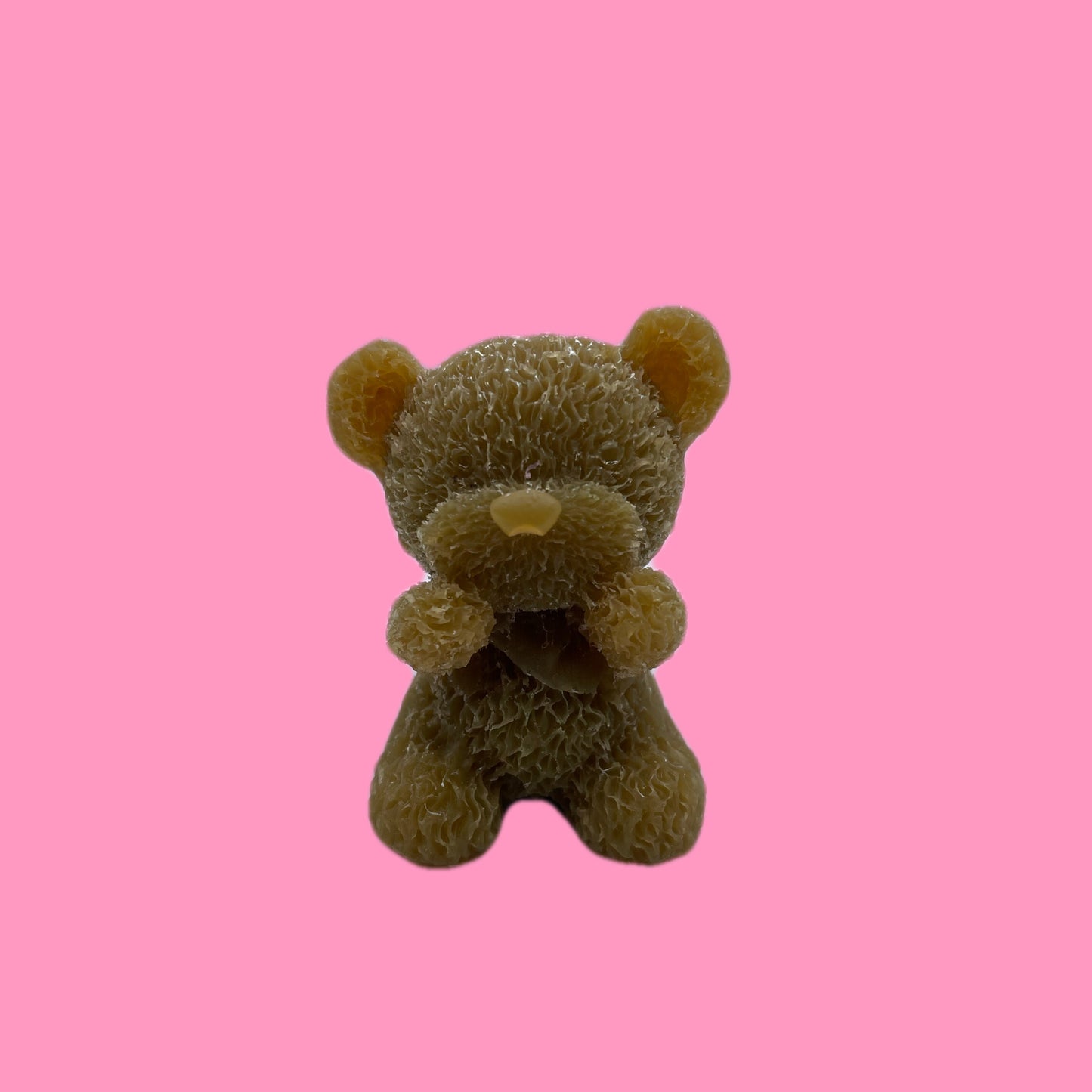 Little bear