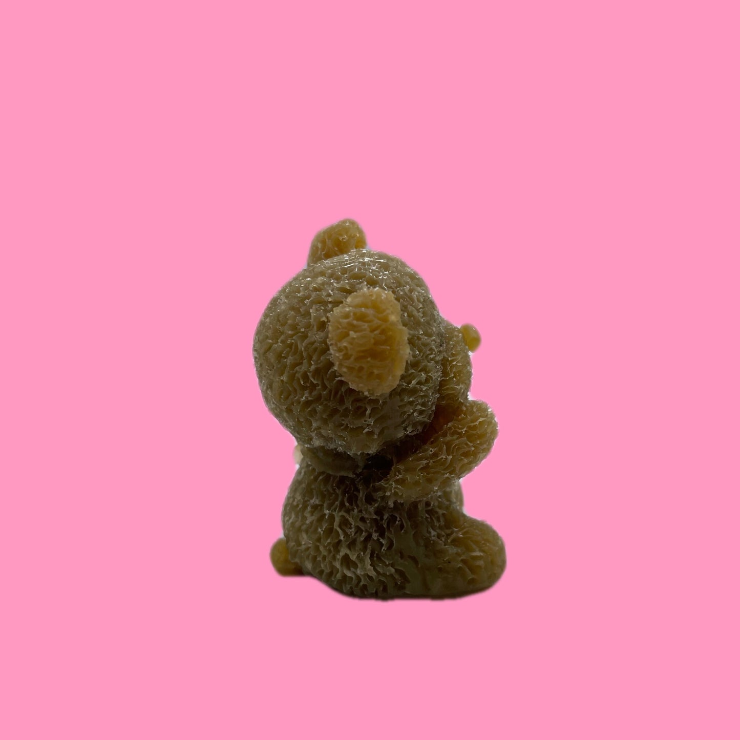 Little bear